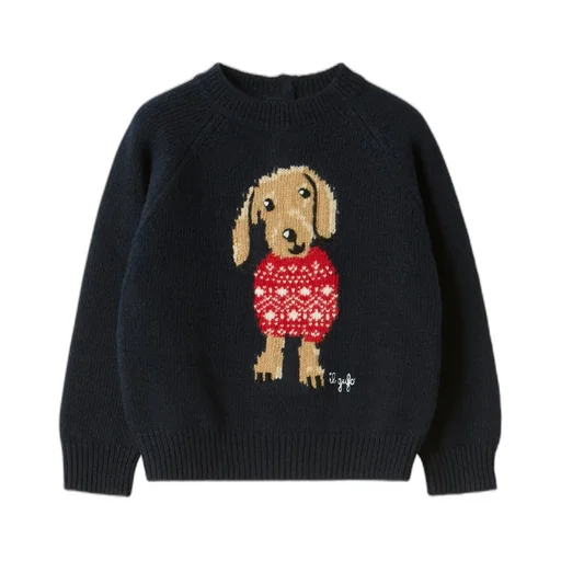Dachshund Sweater