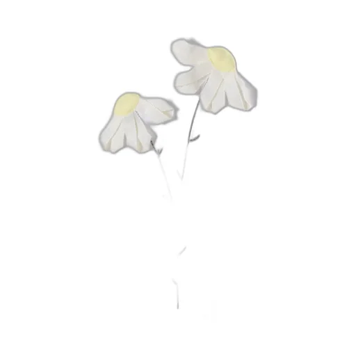 Floral-Appliqué Crewneck T-Shirt