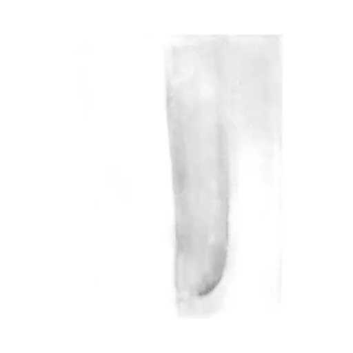 Slim Fit Pants
