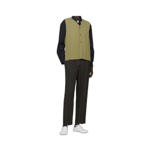 Pleated Trousers