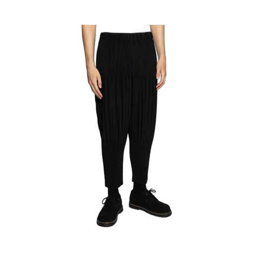Pleated Trousers