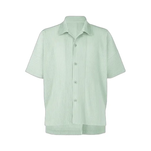 Short Sleeved Pleated Buttoned Shirt