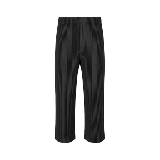 Pleated Trousers