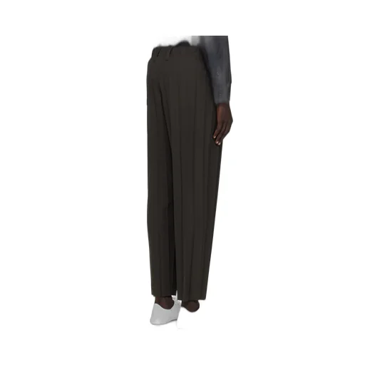 Pleated Trousers
