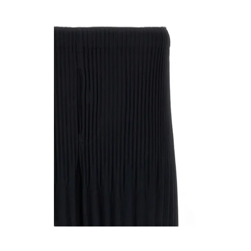 Pleated Pants