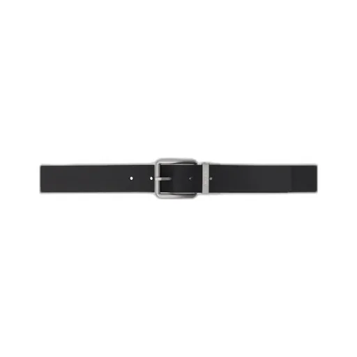 Reversible Belt