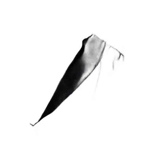 Drawstring Tapered-Fit Pants