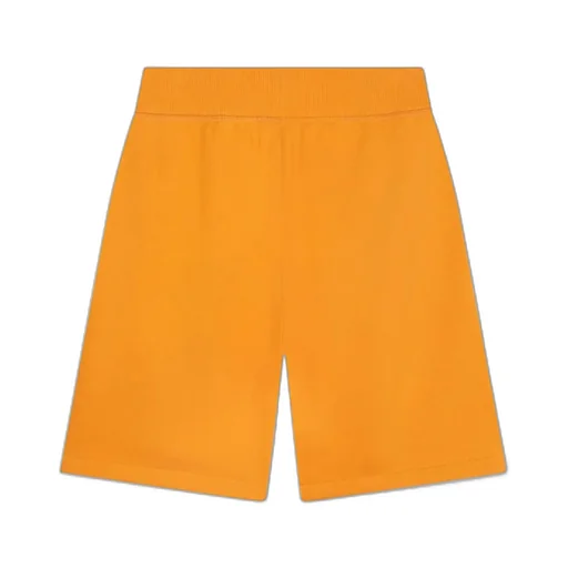 Loose Waist Shorts