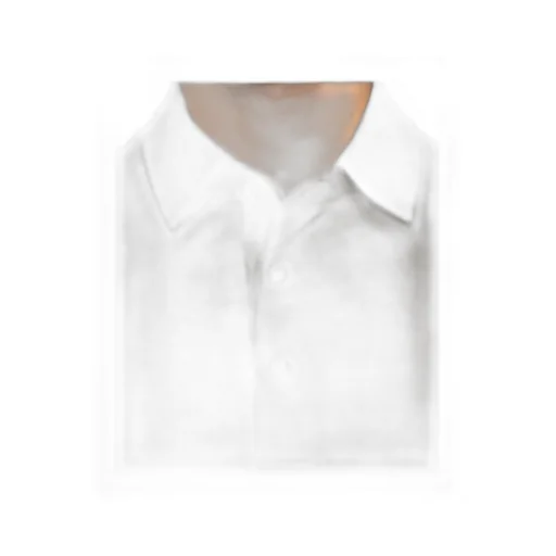 Button Detailed Short-Sleeved Polo Shirt