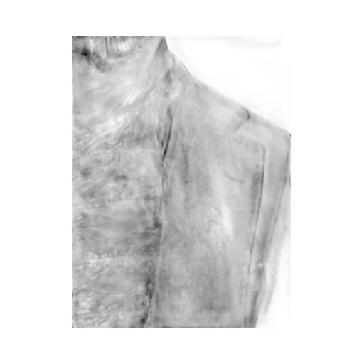 Straight Hem Layered Coat