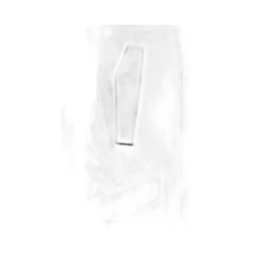 Hooded Concealed-Zip Fastening Jacket
