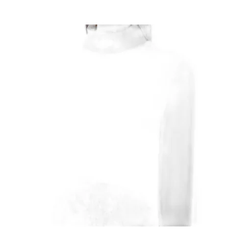 Hpny Crop Long Sleeve Rollneck
