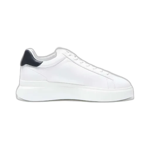 Lace Up Sneakers