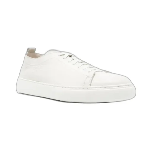 Laced Sneakers