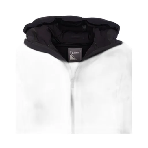 Hooded Down Jacket
