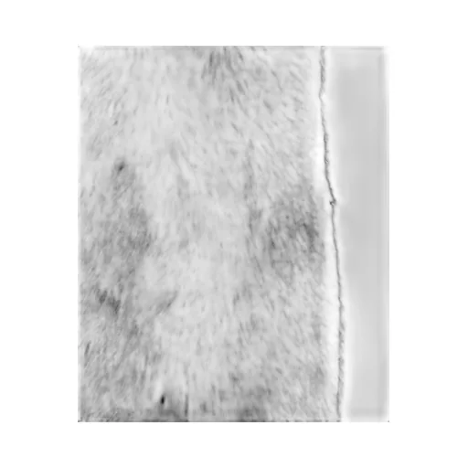 Faux-Fur Sleeveless Gilet