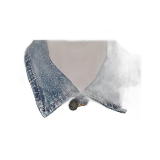 Button-Fastening Denim Jacket