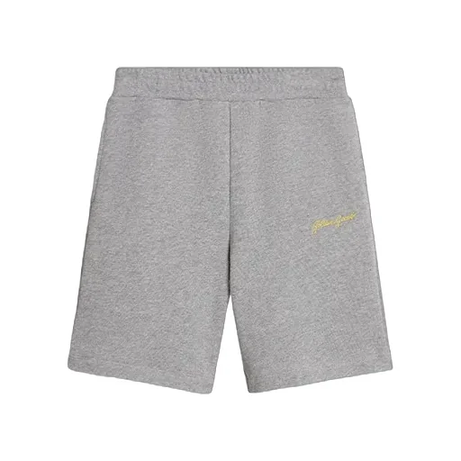 Logo Embroidered Wide-Leg Shorts