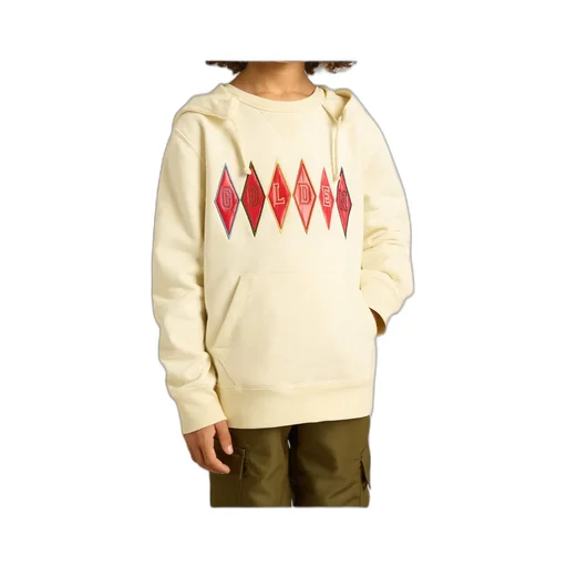 Hooded Sweatshirt With Golden Embroidery