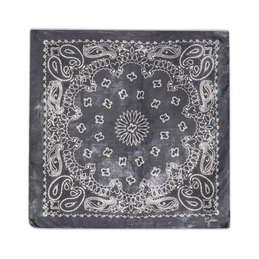 Paisley Printed Scarf