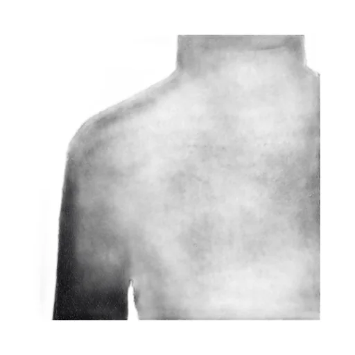 Long Sleeved Turtleneck Jumper