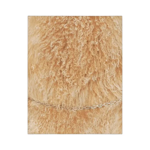 Fur Sleeveless Jacket