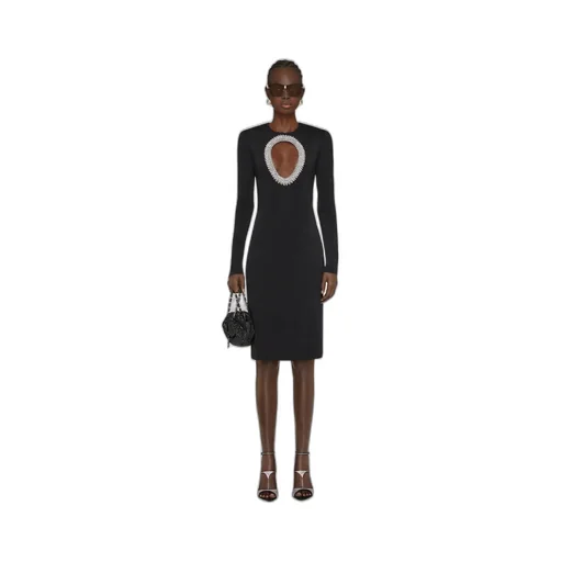 Pear-Embroidered Midi Dress