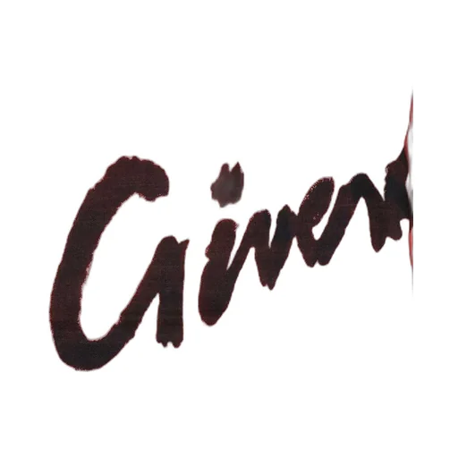 Logo Scarf