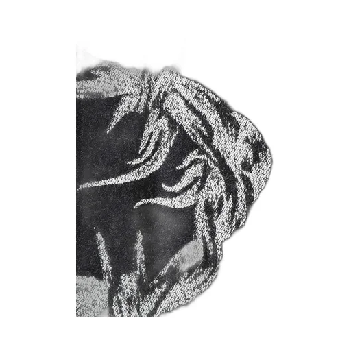 Pattern Printed Scarf