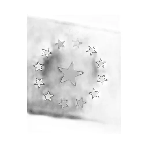 Star Printed Zipper Wallet