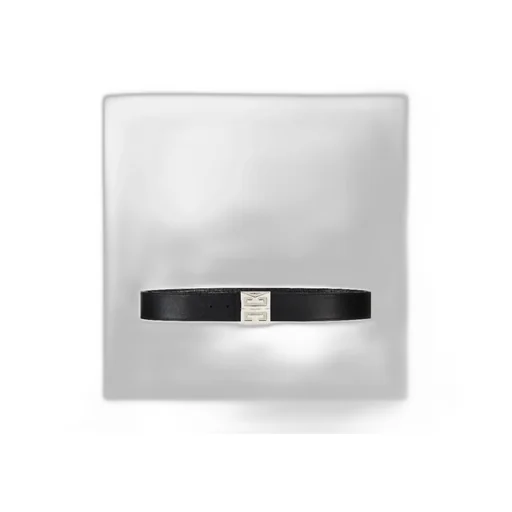 4G Plaque Reversible Belt