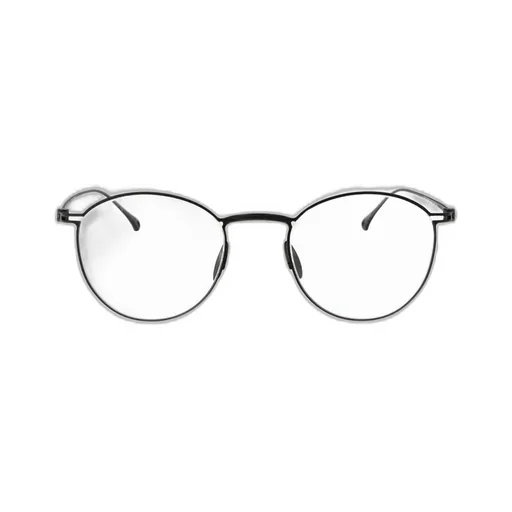 Round Frame Glasses