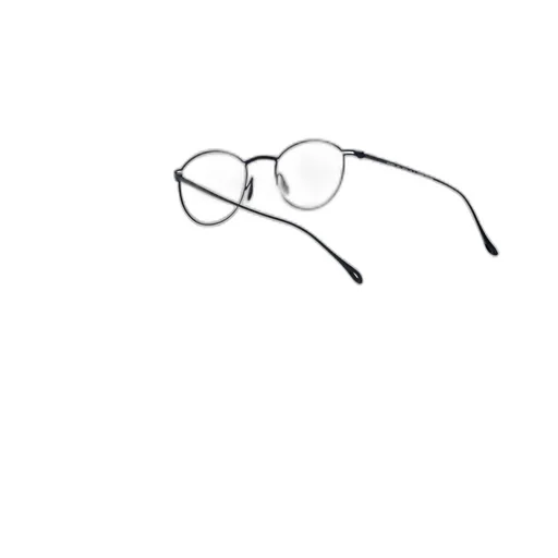Round Frame Glasses