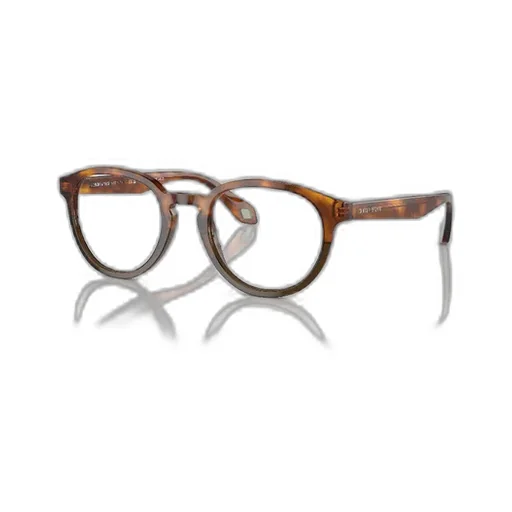 Round Frame Glasses