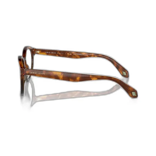 Round Frame Glasses