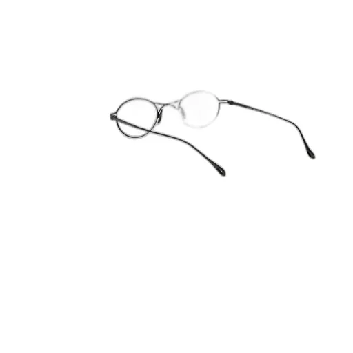 Oval Frame Glasses