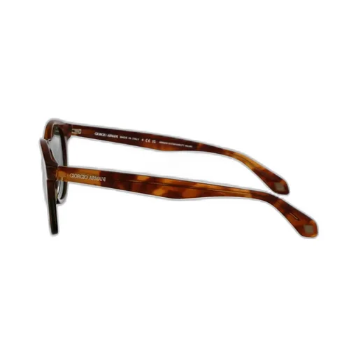 Round Frame Sunglasses