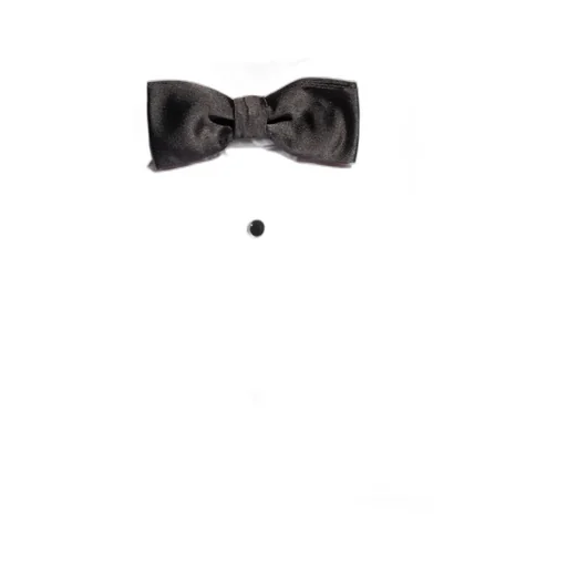 Bow Tie