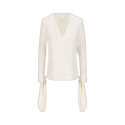 V-Neck Ruffled Blouse