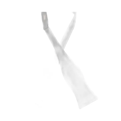 Buckled Bow Tie