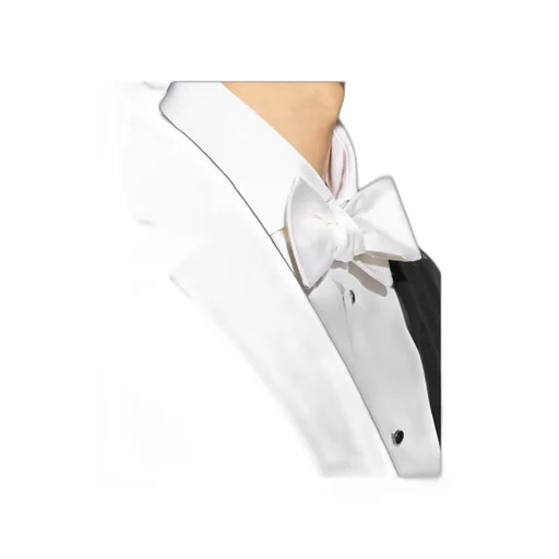 Buckled Bow Tie
