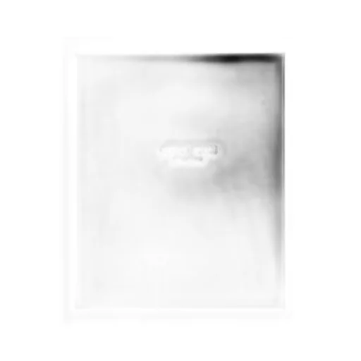 Crewneck Short-Sleeved T-Shirt