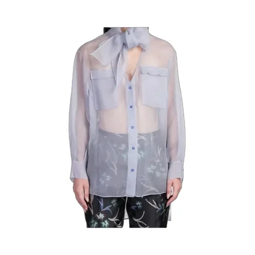 Sheer Organza Shirt