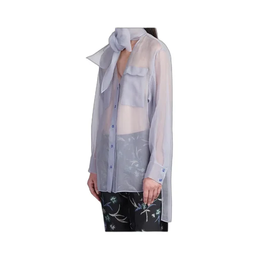 Sheer Organza Shirt