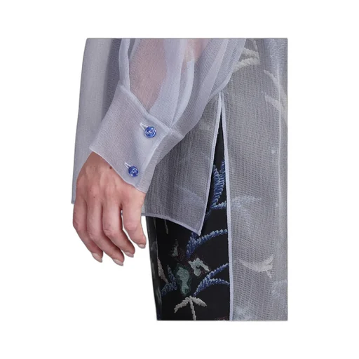 Sheer Organza Shirt