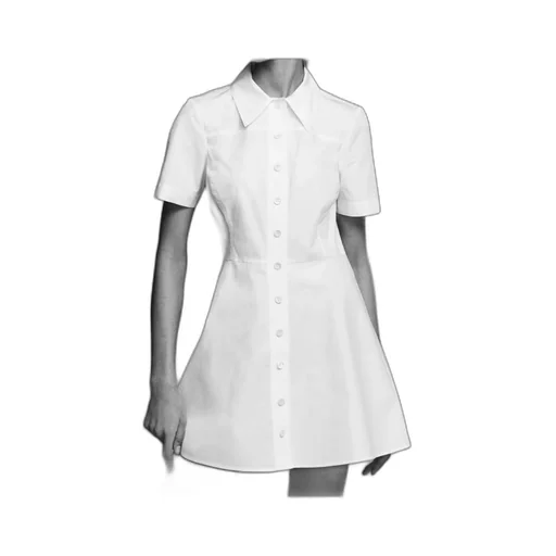 Short-Sleeved Flared Dress