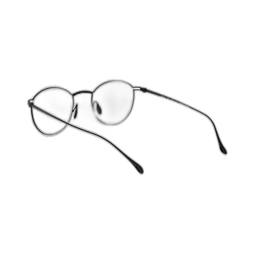 Round Frame Glasses