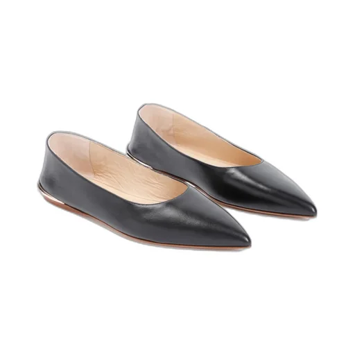 Fleur Ballerina Shoes