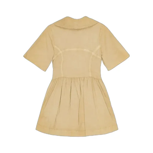 Short-Sleeved Mini Dress