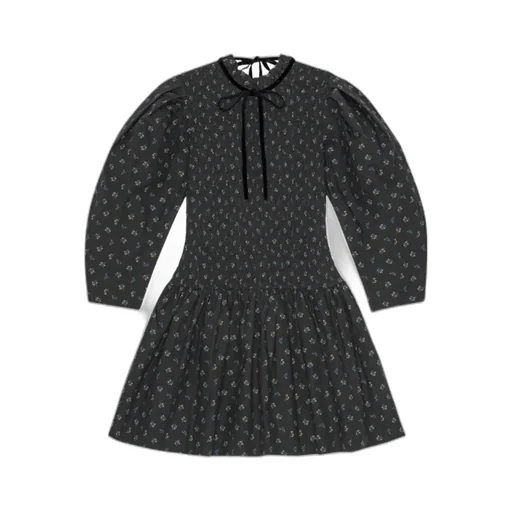 Floral Printed Ruffled Mini Dress